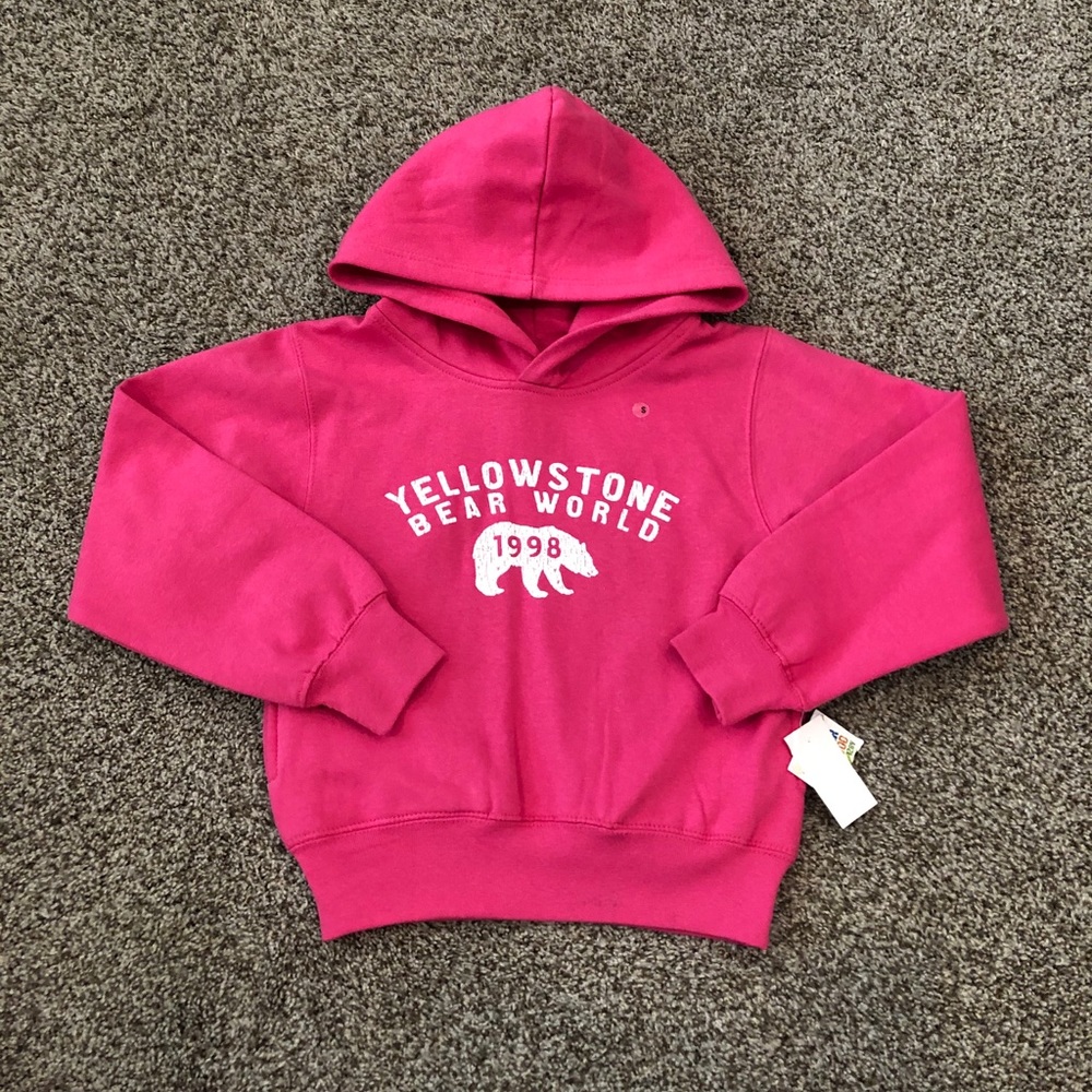 **FINAL PRICE** Little girls hoodie